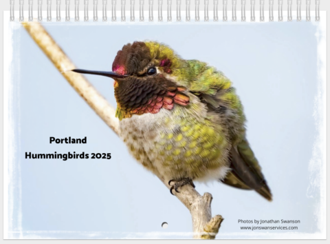 Portland Hummingbirds 2025 Calendar